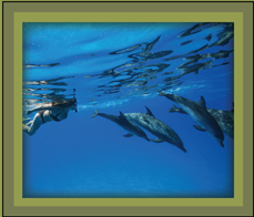 events-retreats