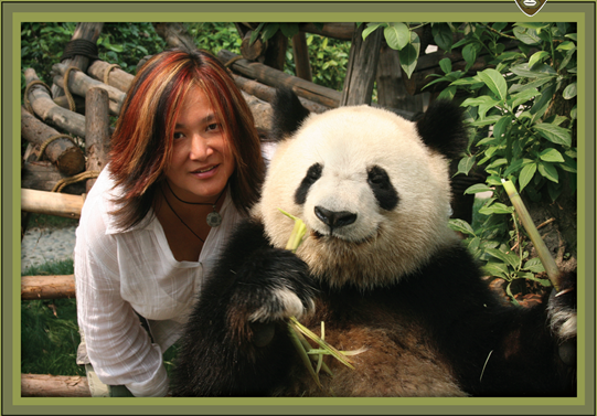 panda