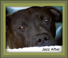 jazz